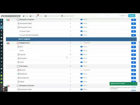 Video: Gestione Categorie e Brand