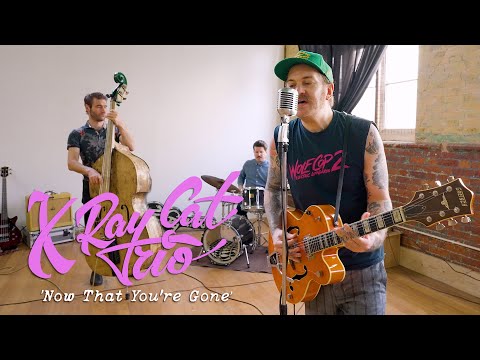 'Now That You're Gone' X-RAY CAT TRIO (Trinity House, Hastings) BOPFLIX sessions