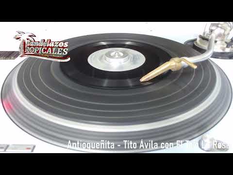 🔴 ANTIOQUEÑITA [Tito Ávila y El Trío La Rosa]
