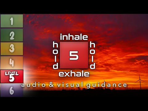 Guided Box Breathing With Audio And Visual Cues | Level 5 | Square Breathing