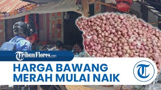 Harga Bawang Merah di Pasar Tradisional Kota Kupang NTT Mulai Naik, Berikut Penyebabnya