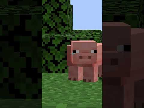 CounterCraft - 🐷If I see a pig inside the minecraft world, the video is over🐷