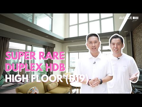 Super Rare Premium Loft, High Floor HDB with Roof Terrace in Punggol (D19)