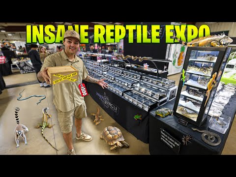 Buying EXOTIC ANIMALS at REPTILE EXPO!!