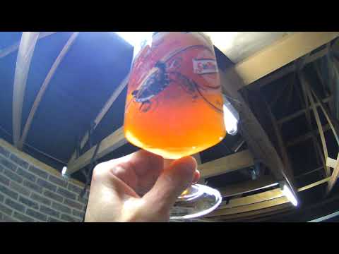 Dry hop in the keg - The result