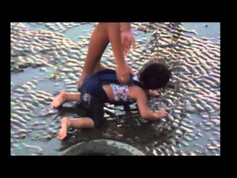 Igarapé das mulheres