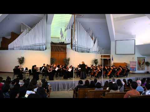 Prelude Chamber Strings 2013