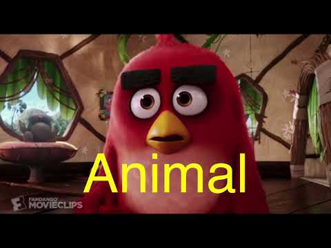 Animal Story Part 18