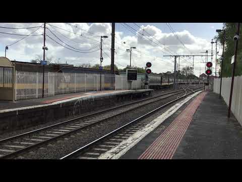 BL30 8134 on Empty Grain Newport