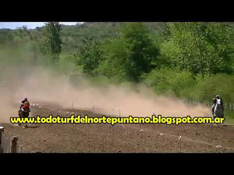 Pequeña Libia, San Francisco (12-11-17)