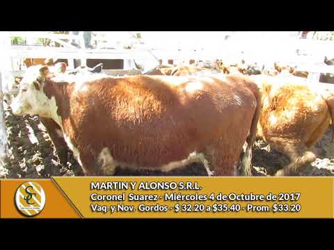 04-10-17 - Venta de Hacienda al Kilo - Martín y Alonso - C.Suarez