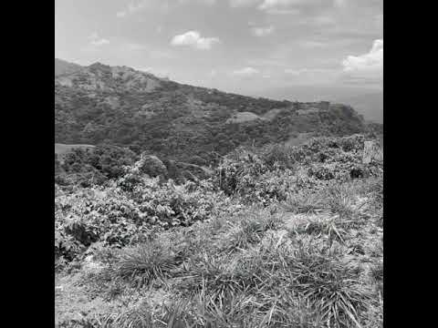 Imagen de Venta de Lotes y Terrenos en Hacienda vieja - Orotina Hacienda Vieja - ALAJUELA