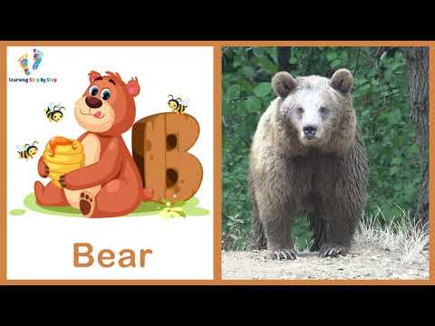 ABC Animals Flashcards With Animals Sounds For Toddlers & Preschoolers