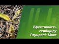 Гербіцид Раундап Макс 20 л — гліфосат 450 г/л Bayer