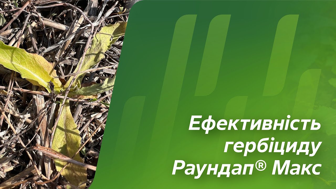 Гербіцид Раундап Макс 20 л — гліфосат 450 г/л Bayer
