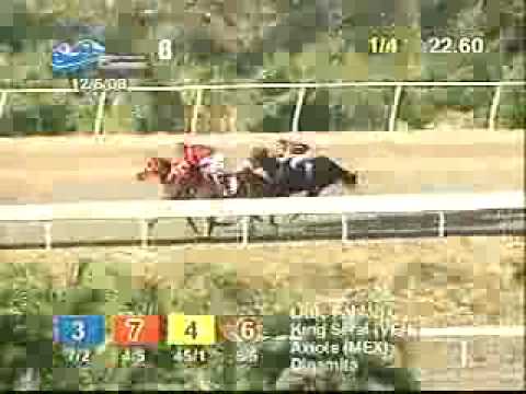 Copa Velocidad del Caribe 2008