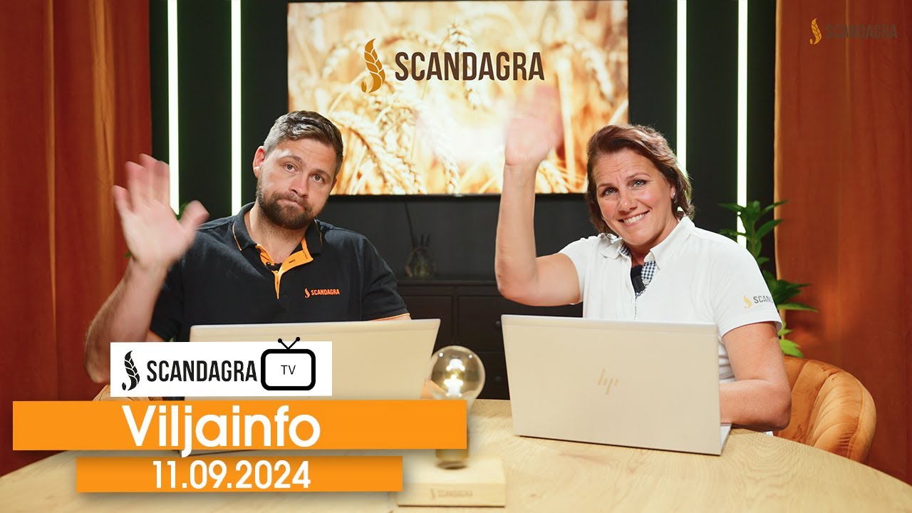 Scandagra VILJAINFO 11.09.2024