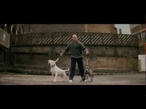 Трейлер
