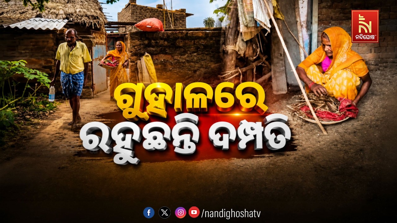 🔴Live | ଗୁହାଳରେ ରହୁଛନ୍ତି ଦମ୍ପତି | NandighoshaTV