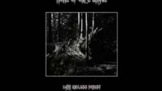 Nachtfalke - Home of once brave