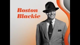 Meet Boston Blackie