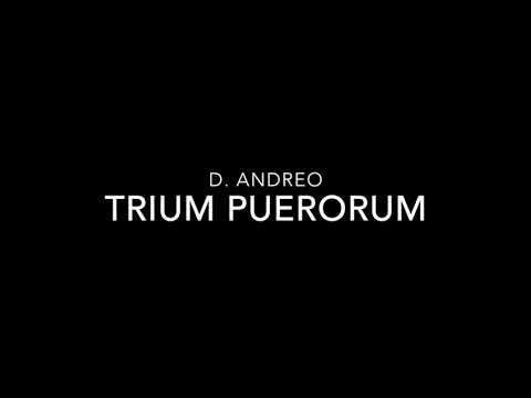 Trium puerorum - Coro de Niños Cantores del instituto Domingo Zipoli - Dir. Ariel Ujaldón