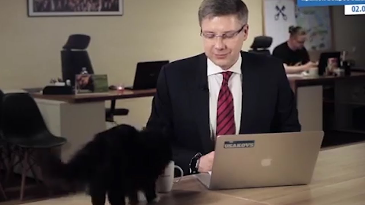 Cat Interrupts Latvia Mayor's TV Interview | What's Trending Now!