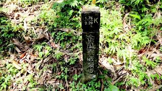 【金瓜寮蕨類步道ㄧ小段】2025年5月17日星期六上午段⛅️