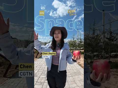 Yan'an space apples: From the Loess Plateau to the cosmos