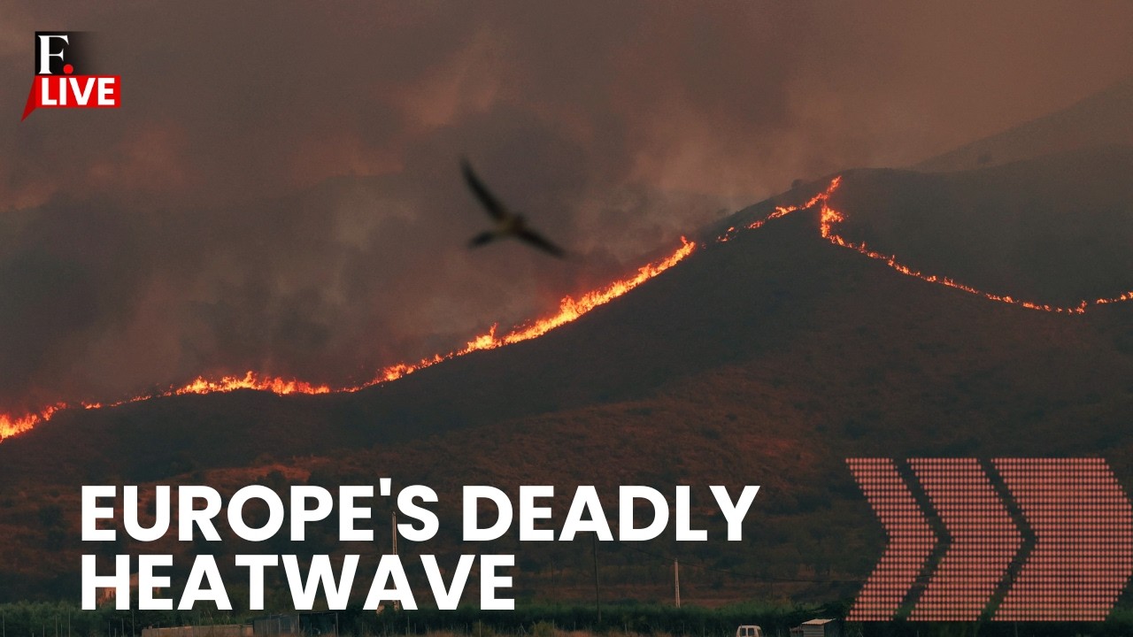 Europe Heatwave Turns Deadly | Spain Wildfires Kill 12 as Loire River Run Dry Across Europe