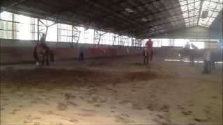 Matt Mills Riding Nu Steps To Cash