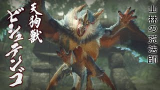 MHRiseを実況プレイ 11【ビシュテンゴ　ドスフロギィ】