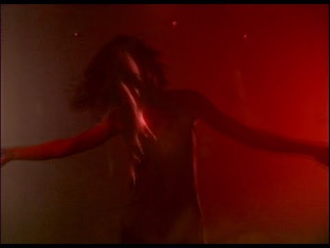 Soho Rezanejad - Love's a Raging Prey