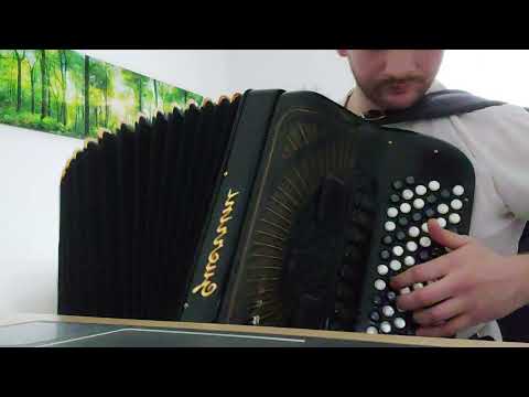 Medeno Kolo - Ljubiša Pavković (Novica Glamočanin)