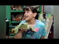 Barney Song The Frog On The Log Home Sweet Homes