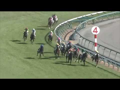 2020.12.06 2yo Newcomer (JPN) - Yamanin Reliure