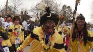 preview picture of video 'Fasching Seehausen 2014'