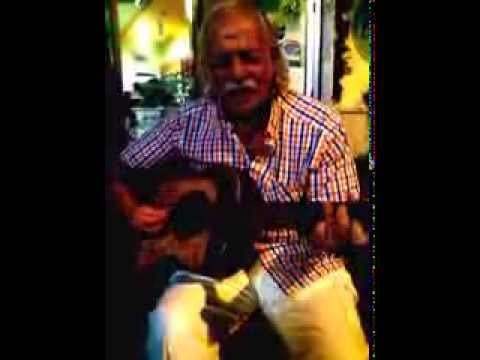 Ngiulina ngiulinella chitarra