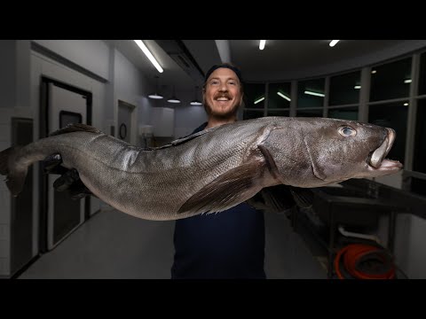 Why This Fish Is Famous