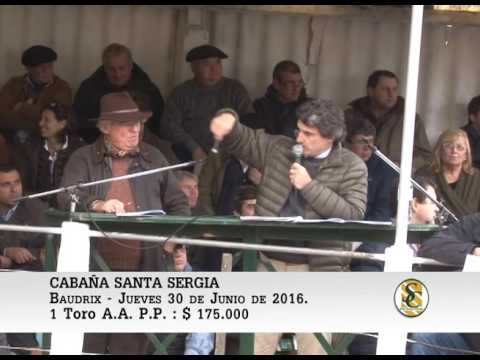 30-06-16 - VENTA DE TOROS PP. - CABAÑA SANTA SERGIA