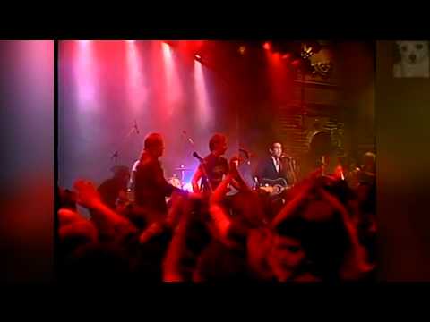 Paul Kelly & The Coloured Girls - Look So Fine Feel So Fine