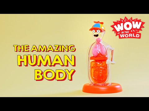 WOW AMAZING HUMAN BODY