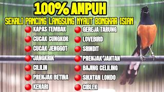 Download lagu MASTERAN MURAI BATU PAGI SIANG MALAM FULL ISIAN TEMBAKAN MEWAH 100% COCOK BUAT PANCINGAN AGAR GACOR mp3