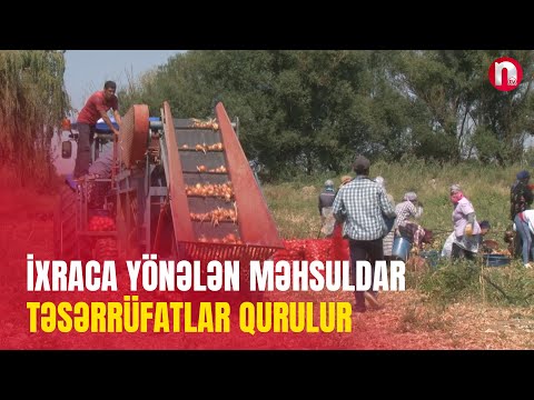 RİSKDƏN GÜVƏNƏ 12.05.2025