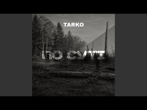 По суті