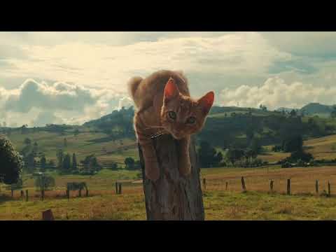 Cultura turmequé Boyacá ❤️