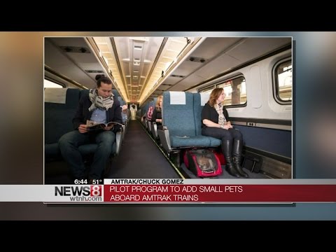 Small pets now allowed on Amtrak trains