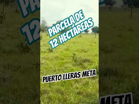 parcela en puerto lleras meta 12 hectáreas, #fincallanosariari #puertollerasmeta #parcelabarata