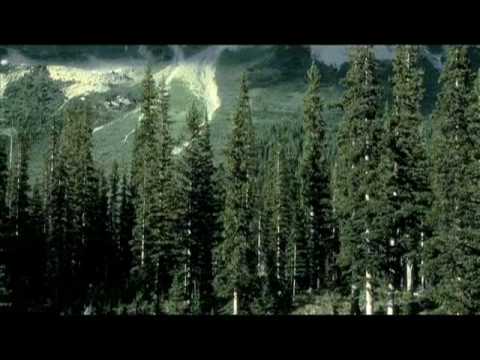 Kopparberg graded, draft 2 (neutral)