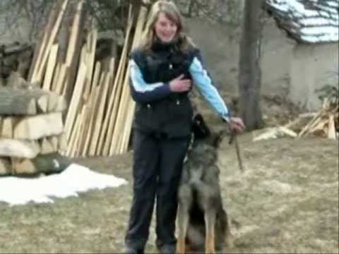 Astoria Daniel Bohemia